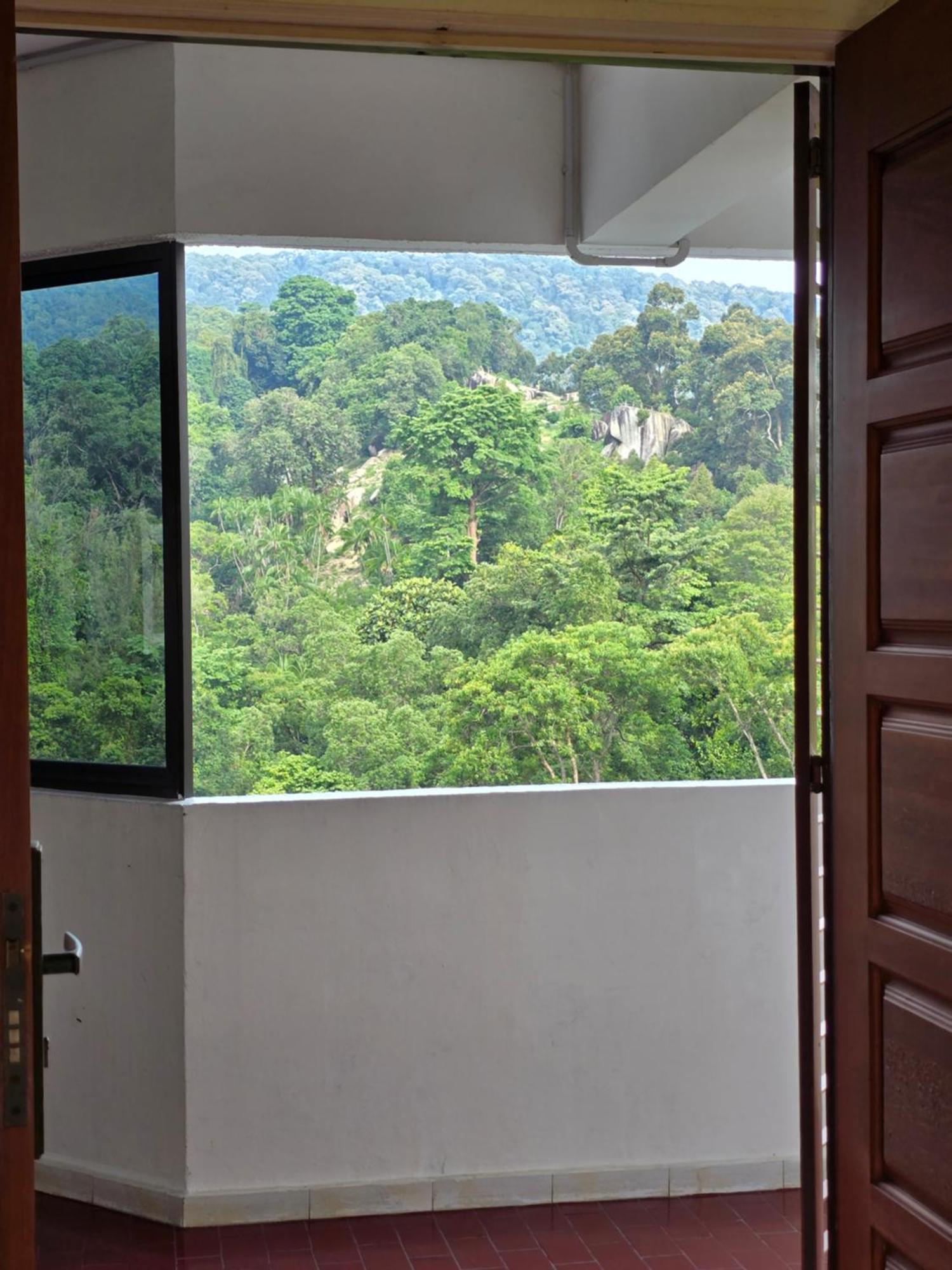 Apartment Green Ocean Seaview